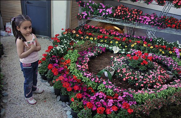 دهمین نمایشگاه بین المللی گل و گیاه تهران