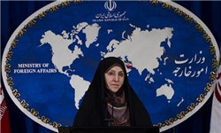 مرضیه افخم از بیانیه اخیر وزارت خارجه کانادا درباره جمهوری اسلامی ایران ابراز تأسف نمود
