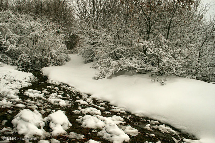عکس/ طبیعت زمستانی فوق‌العاده اردبیل