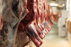 وضعیت گرانی گوشت قرمز طی یک‌سال و نیم گذشته