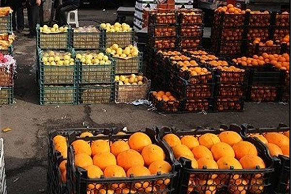 انتقاد از نحوه توزیع میوه شب عید