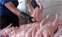 آخرین وضعیت صادرات مرغ