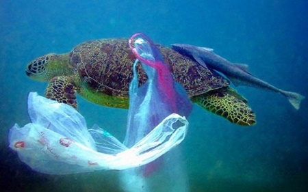 مسابقه ای برای مبارزه با ریختن پسماند پلاستیکی در دریاها