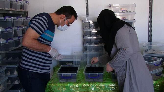 تولید گران‌ترین مایع جهان توسط جوان ایرانی+ عکس